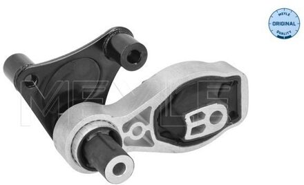 Ford Aslichaam-/motorsteunlager 7141300018