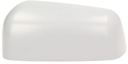 Ford Behuizing, buitenspiegel 6103011298399P