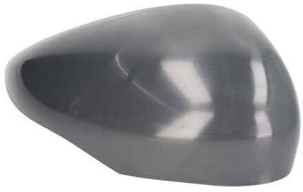Ford Behuizing, buitenspiegel 6103011312520P