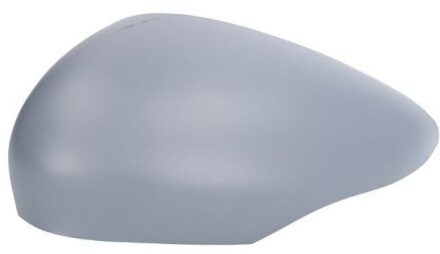 Ford Behuizing, buitenspiegel 6103011312521P