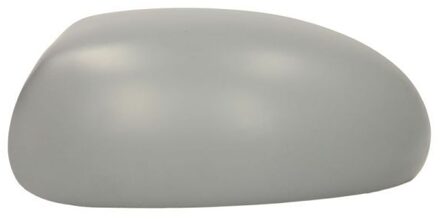 Ford Behuizing, buitenspiegel 6103011321399P