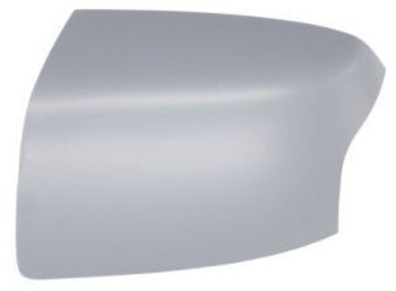 Ford Behuizing, buitenspiegel 6103032001189P