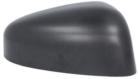 Ford Behuizing, buitenspiegel 6103032001276P