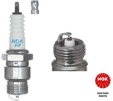 Ford Bougie NGK (3122)