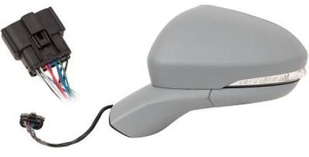 Ford Buitenspiegel 1429425