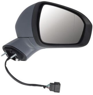 Ford Buitenspiegel 5402030405313P