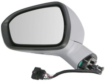 Ford Buitenspiegel 5402030405314P
