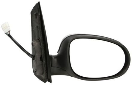 Ford Buitenspiegel 540203048364P