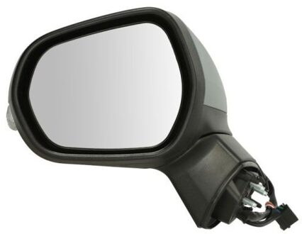 Ford Buitenspiegel 5402031892361P