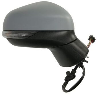 Ford Buitenspiegel 5402031892362P