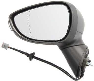 Ford Buitenspiegel 5402032001177P