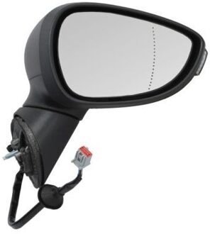 Ford Buitenspiegel 5402032001178P