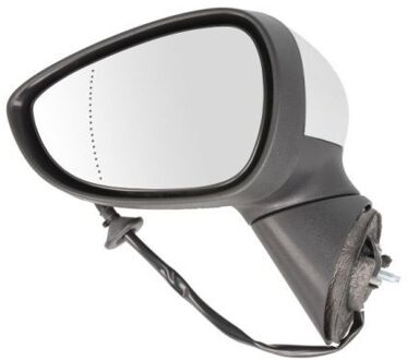 Ford Buitenspiegel 5402032001179P