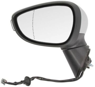 Ford Buitenspiegel 5402032001181P