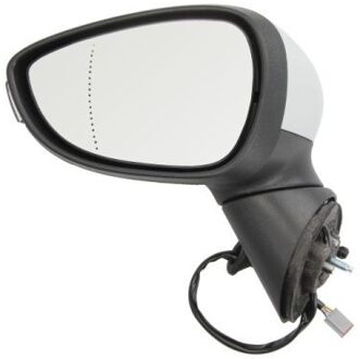 Ford Buitenspiegel 5402032001183P