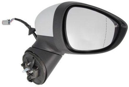 Ford Buitenspiegel 5402032001184P