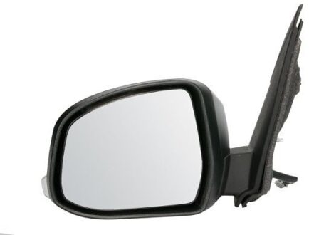 Ford Buitenspiegel 5402032001193P