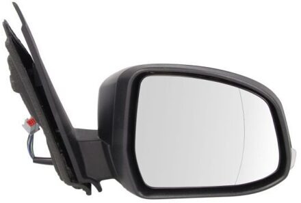 Ford Buitenspiegel 5402032001196P