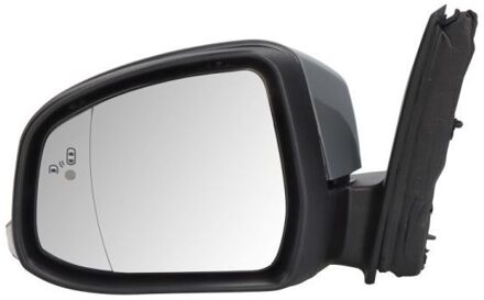 Ford Buitenspiegel 5402032001201P