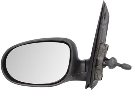 Ford Buitenspiegel 5402032001205P
