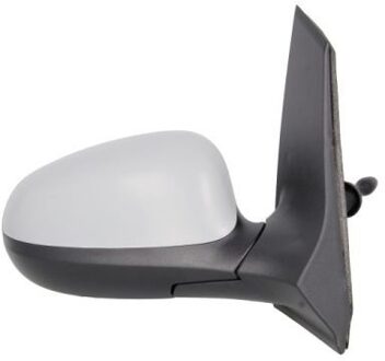 Ford Buitenspiegel 5402032001206P