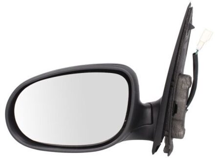 Ford Buitenspiegel 5402032001207P