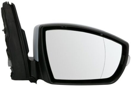 Ford Buitenspiegel 5402032001214P