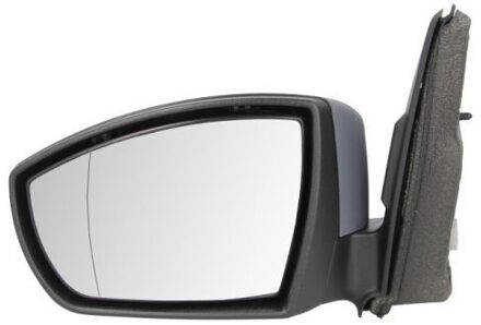 Ford Buitenspiegel 5402032001215P