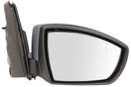Ford Buitenspiegel 5402032001216P