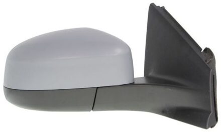 Ford Buitenspiegel 5402032001218P