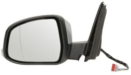Ford Buitenspiegel 5402032001219P