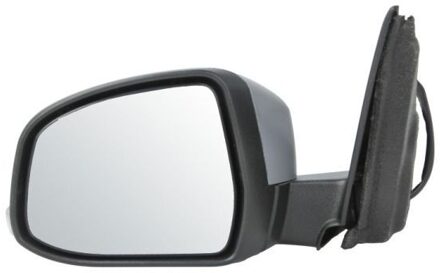 Ford Buitenspiegel 5402032001221P