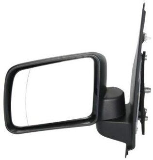 Ford Buitenspiegel 5402032001239P