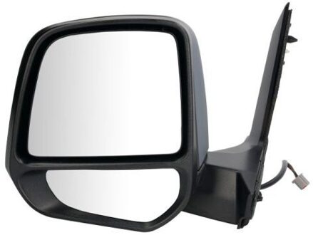 Ford Buitenspiegel 5402032001245P