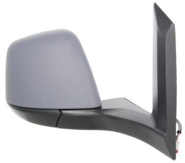Ford Buitenspiegel 5402032001246P