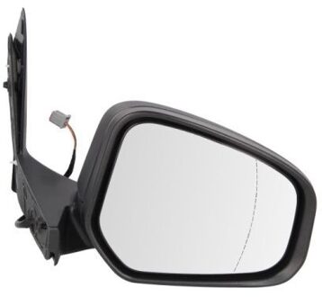 Ford Buitenspiegel 5402032001258P