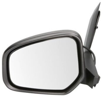 Ford Buitenspiegel 5402032001259P