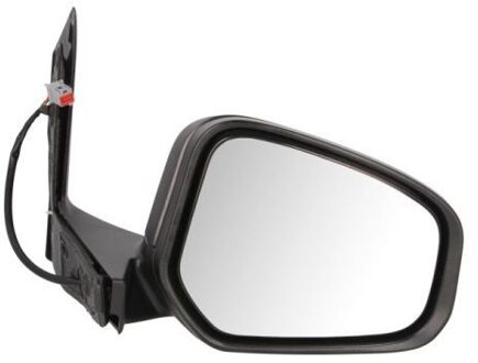 Ford Buitenspiegel 5402032001260P