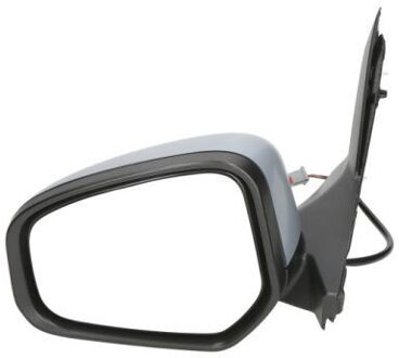 Ford Buitenspiegel 5402032001269P