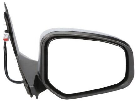 Ford Buitenspiegel 5402032001274P