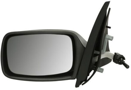 Ford Buitenspiegel 5402032002823P