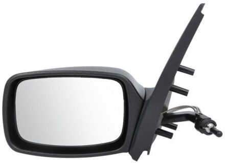 Ford Buitenspiegel 5402032002825P