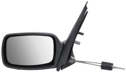 Ford Buitenspiegel 5402032002827P