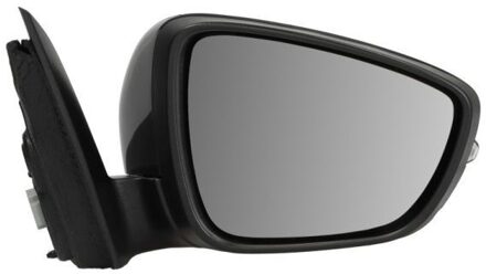Ford Buitenspiegel 5402032152313P