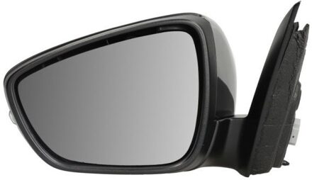 Ford Buitenspiegel 5402032152314P