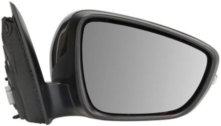 Ford Buitenspiegel 5402032152315P