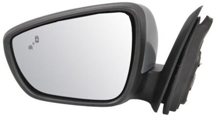 Ford Buitenspiegel 5402032152316P