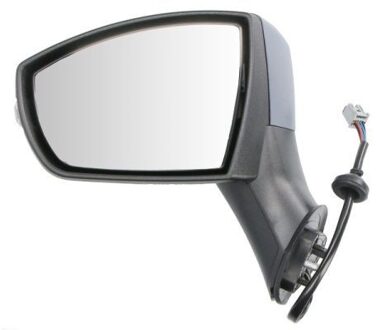 Ford Buitenspiegel 5402032166310P