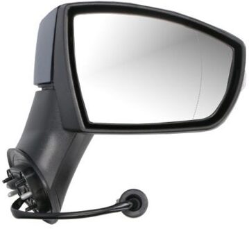 Ford Buitenspiegel 5402032166311P
