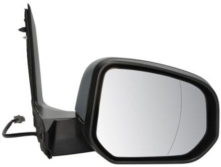 Ford Buitenspiegel 5402032402313P